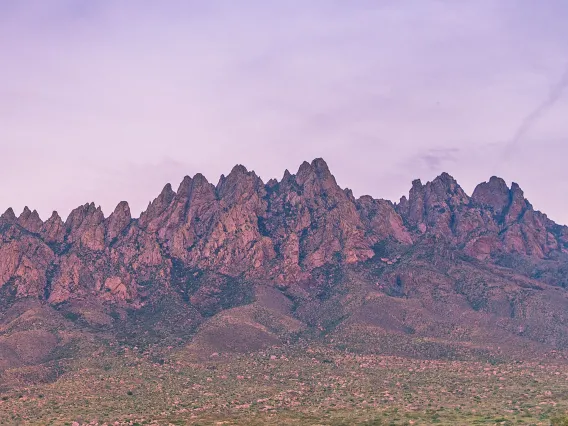 las cruces, new mexico