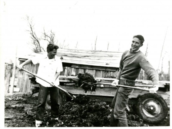 Greyscale photograph of two young men shoveling mulch into a trailer in front of an old building.