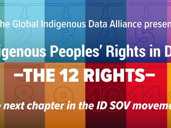 12 colored rectangles numbered 1-12 arranged in a grid; text reads "The Global Indigenous Data Alliance presents: Indigenous Peoples Rights in Data: the 12 Rights, the next chapter in the IDSov Movement