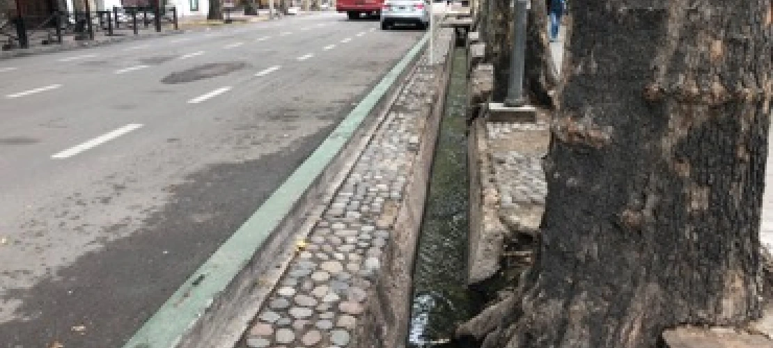 Acequia in Mendoza 