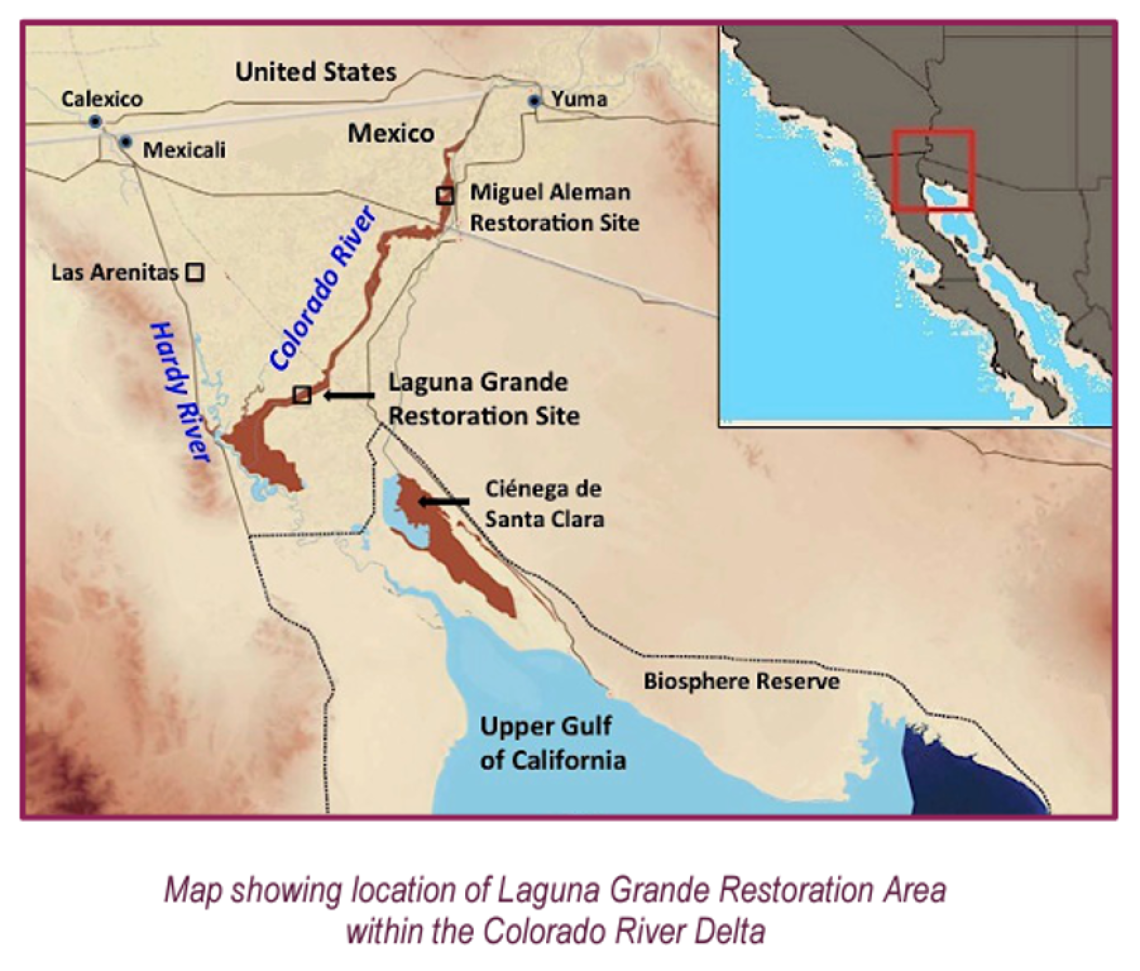 Map showing location of Laguna Grande Restoration Area within the Colorado River Delta.