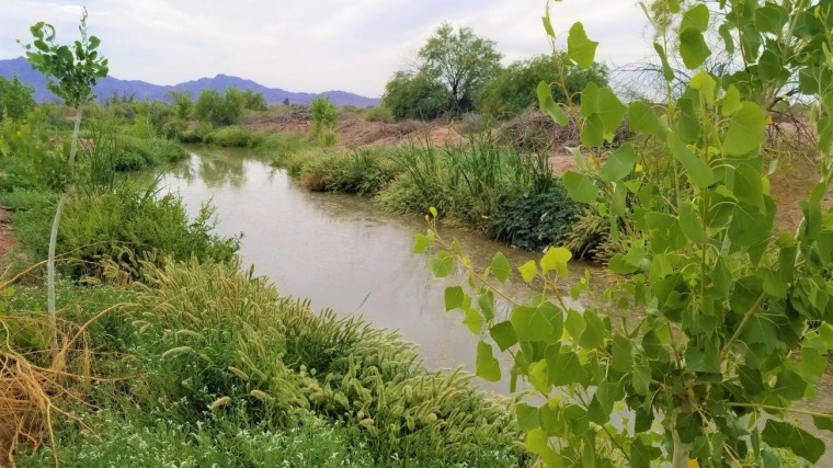 A stream flows through the Gila River Indian Community forming a lush riparian area known as Pee Posh Wetlands.