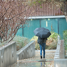 A person walks through the rain on the UArizona campus while holding a black umbrella.